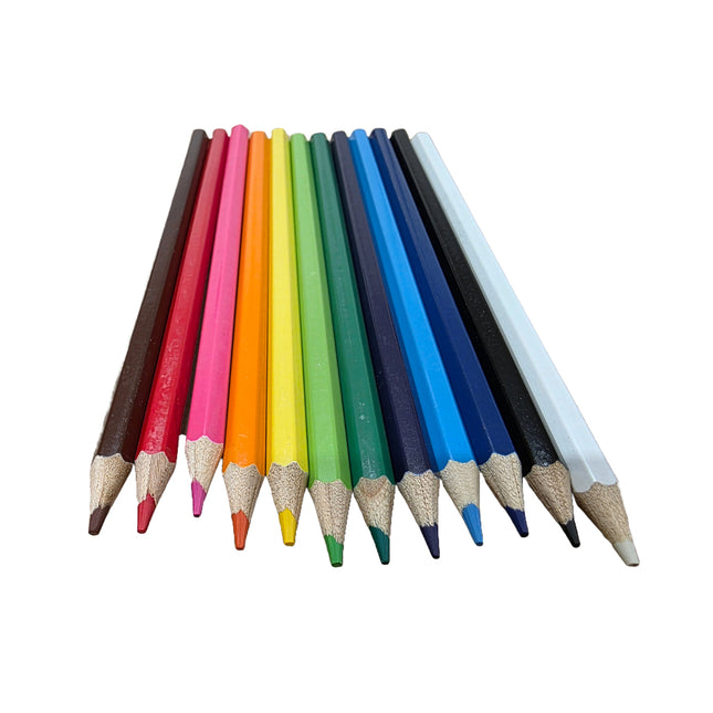 Box of Consortium Assorted Coloured Pencils